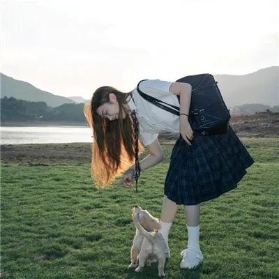 安全领域